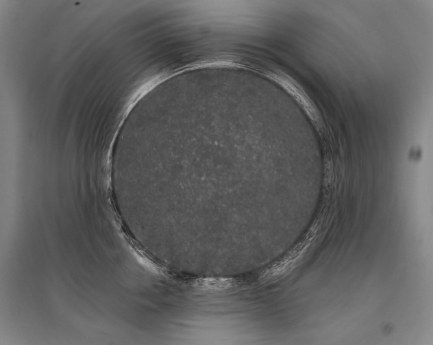 X0000095510858200712141422