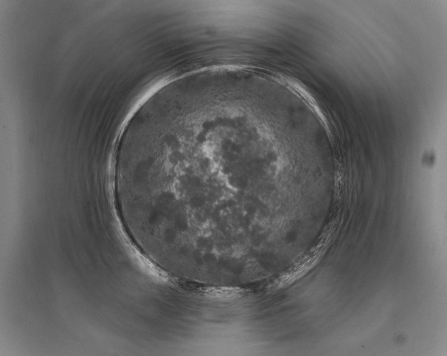 X0000095510859200712141422