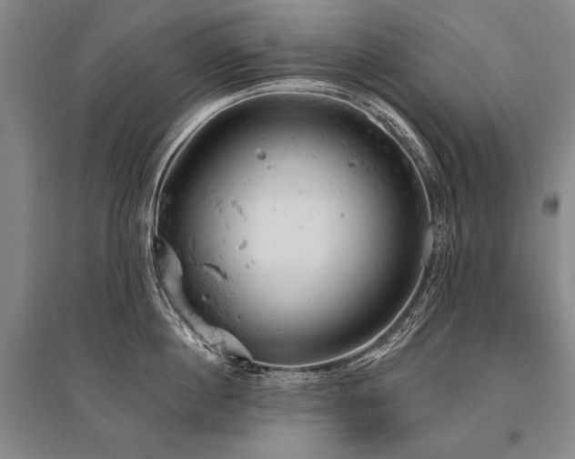 X0000095510860200712141422