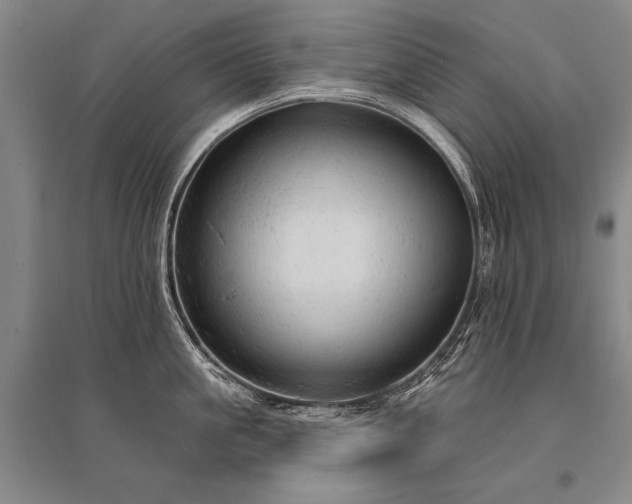 X0000095510861200712141422