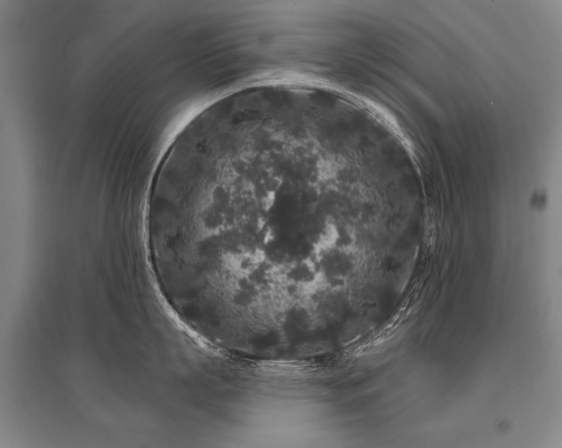 X0000095510863200712141422