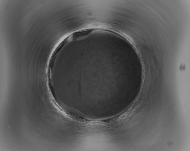 X0000095510864200712141422