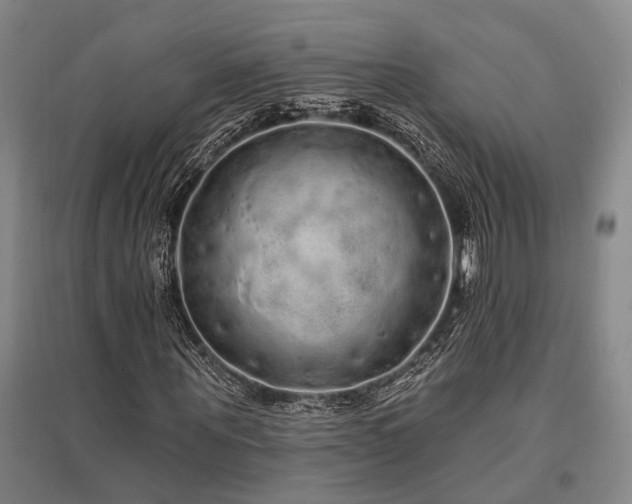 X0000095510867200712141421