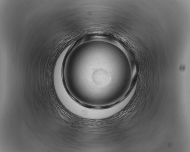 X0000095510868200712141421