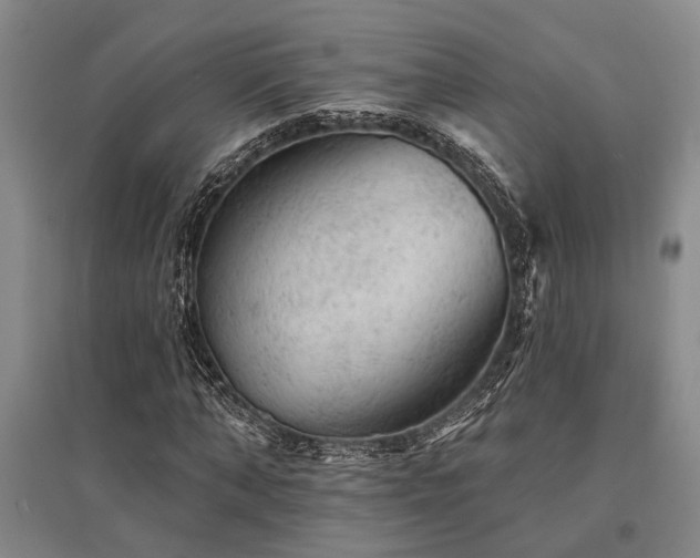 X0000095510870200712141421