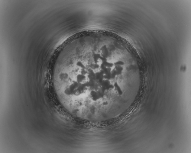 X0000095510871200712141421