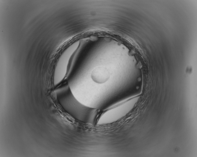 X0000095510872200712141421