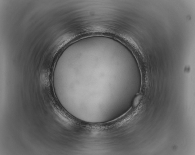 X0000095510873200712141421