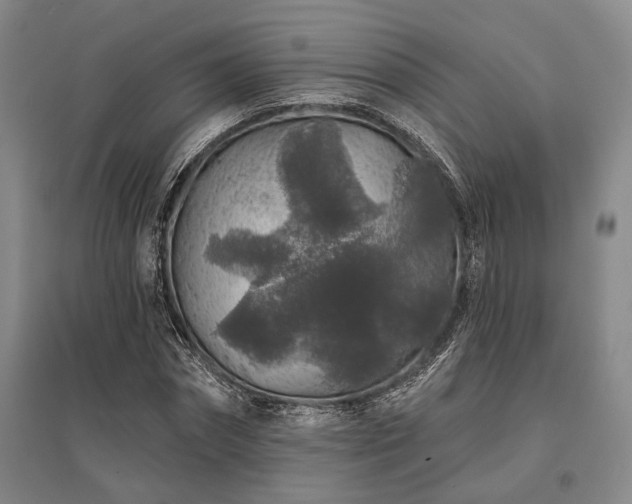 X0000095510874200712141421