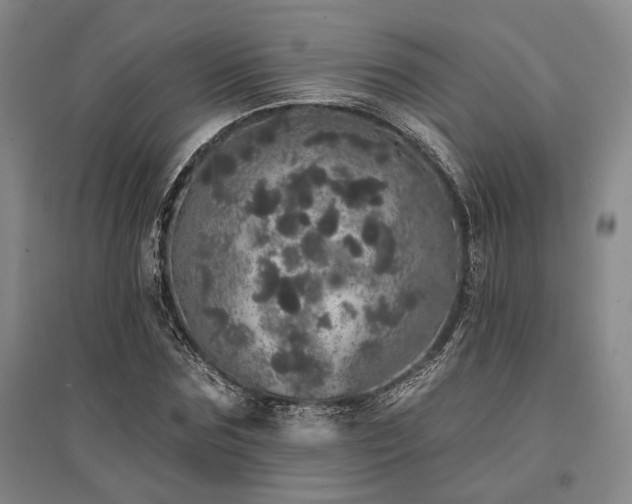 X0000095510875200712141421