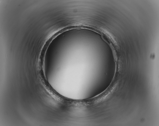 X0000095510876200712141421