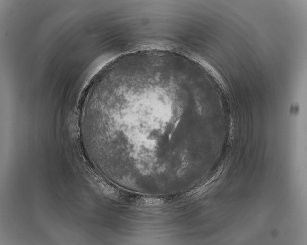 X0000095510878200712141421