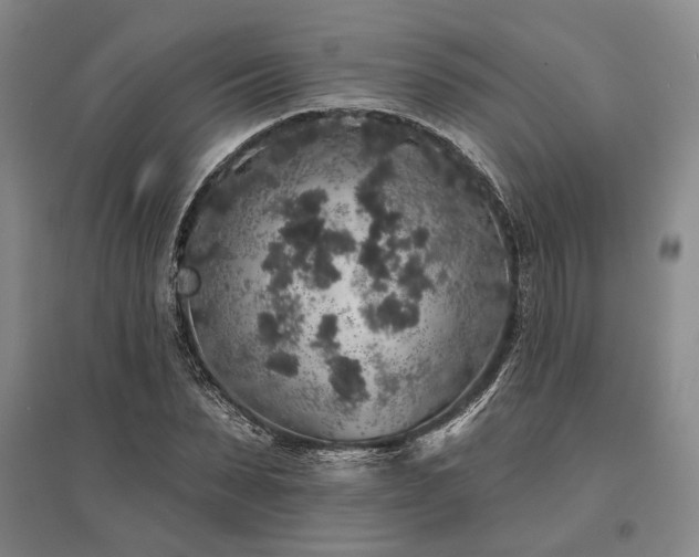 X0000095510879200712141421