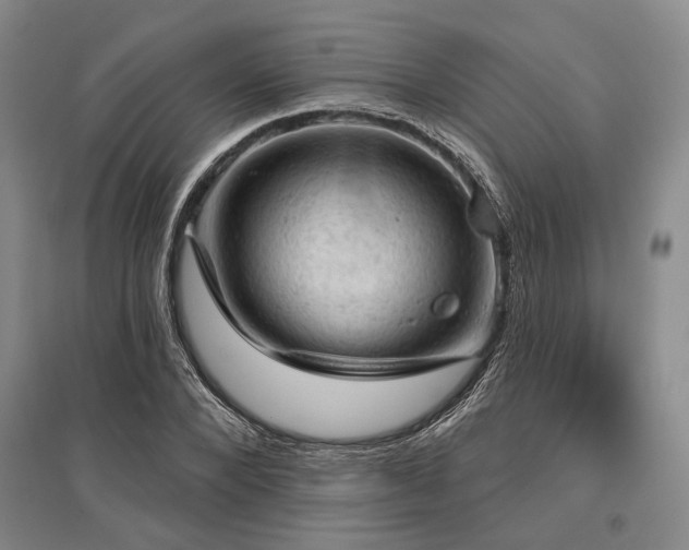 X0000095510880200712141421