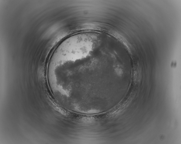 X0000095510882200712141421