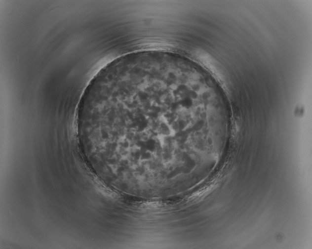 X0000095510883200712141421