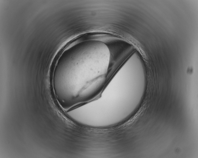 X0000095510884200712141421