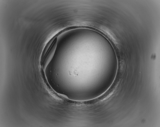 X0000095510885200712141421