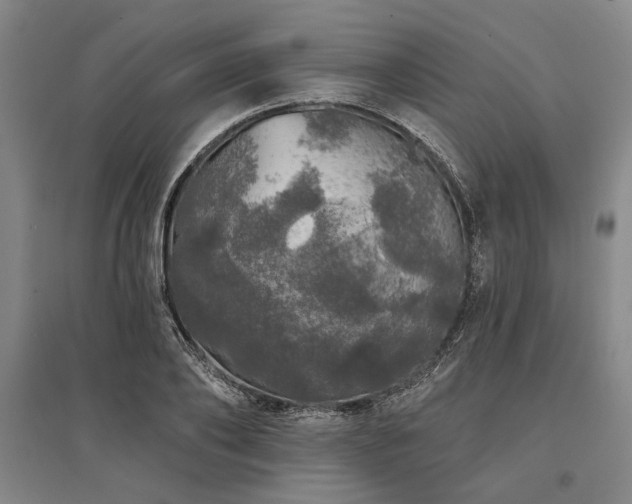 X0000095510886200712141421