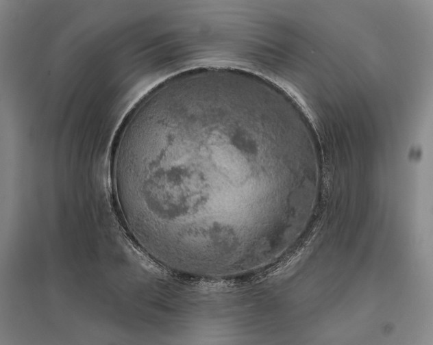 X0000095510887200712141421