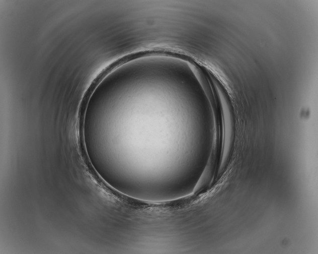 X0000095510888200712141421