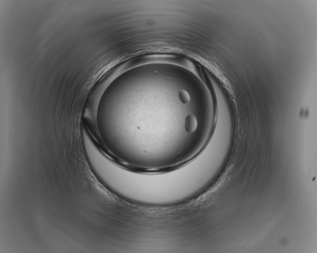 X0000095510889200712141421