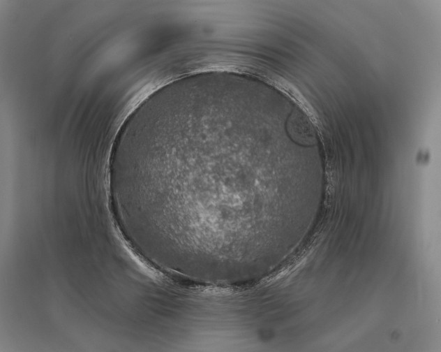 X0000095510890200712141421
