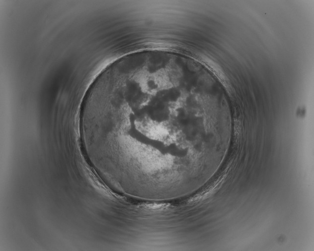 X0000095510891200712141421