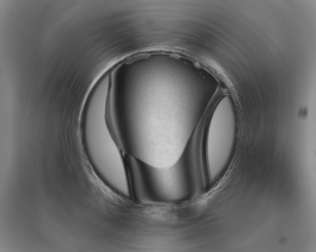 X0000095510892200712141421