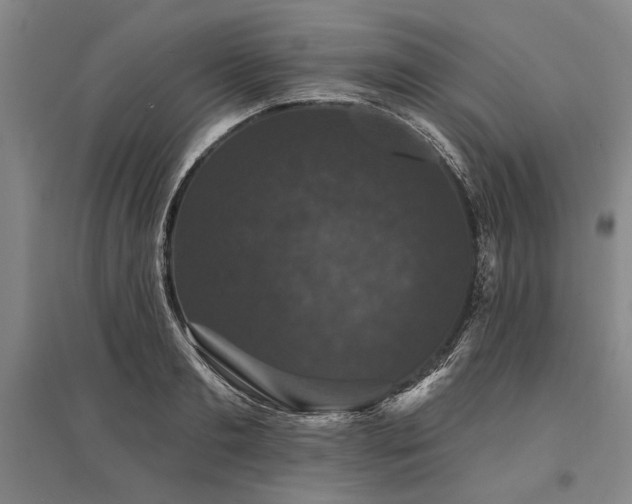 X0000095510893200712141421