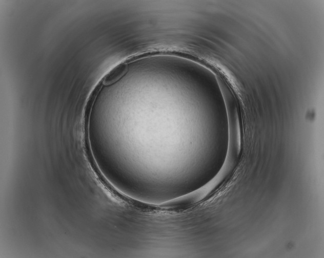 X0000095510894200712141421