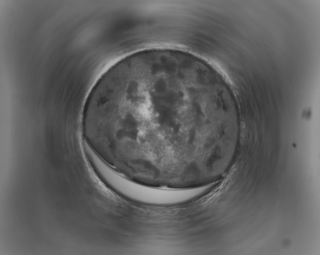 X0000095510895200712141421