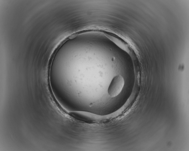 X0000095510896200712141421