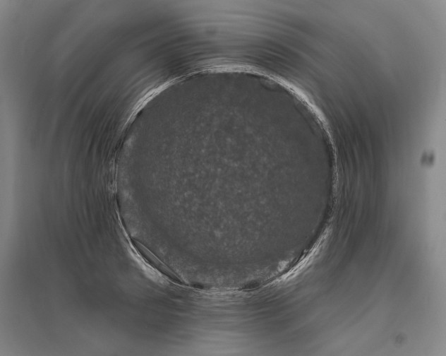 X0000095510897200712141421