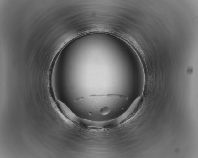 X0000095510898200712141421