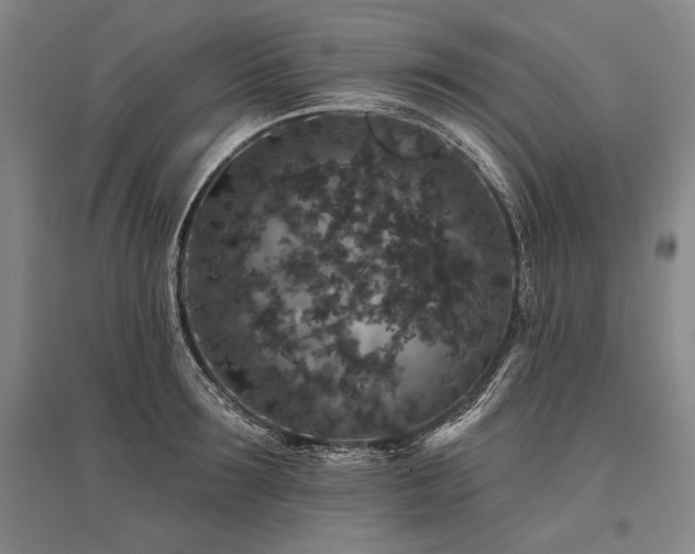 X0000095510899200712141421