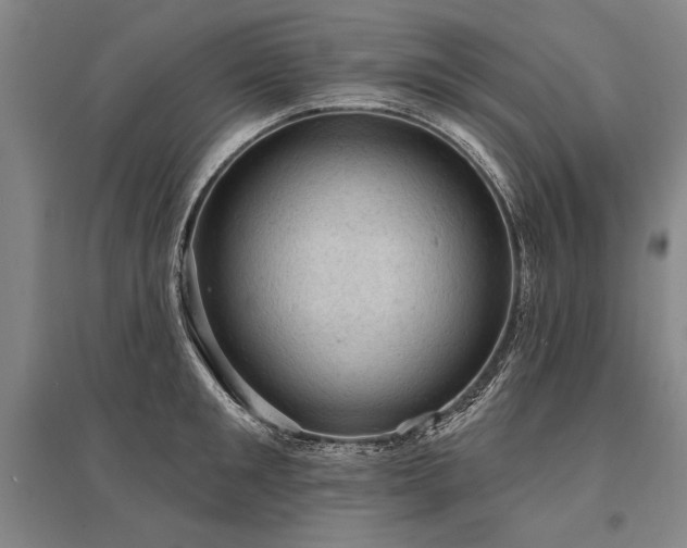 X0000095510901200712141421