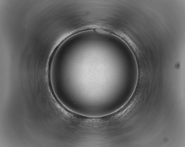 X0000095510902200712141421