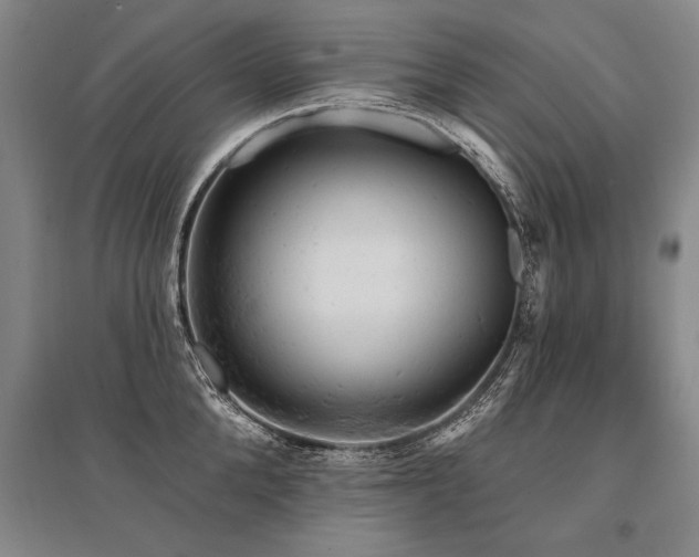 X0000095510904200712141421