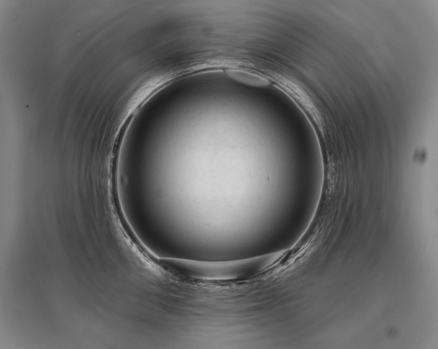 X0000095510906200712141421