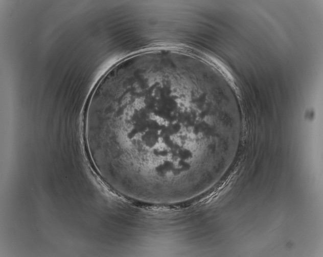 X0000095510907200712141421