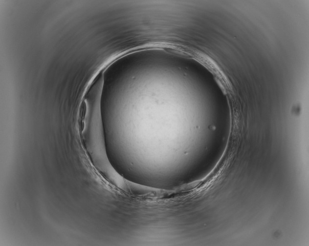 X0000095510908200712141421