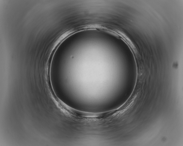 X0000095510909200712141421