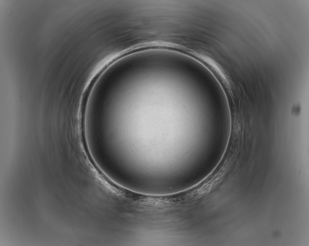 X0000095510910200712141421