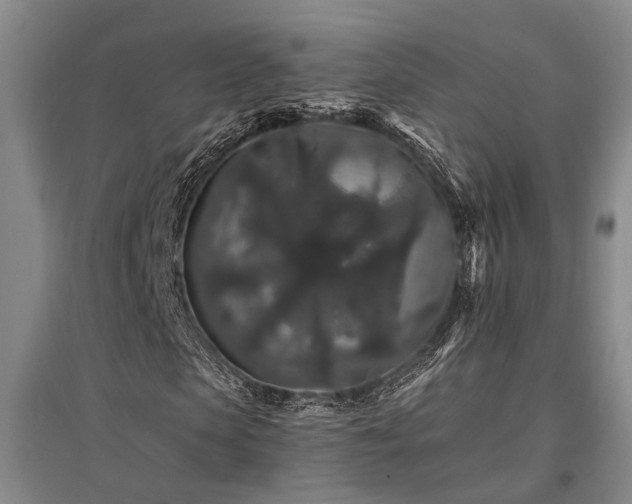 X0000095510913200712141420