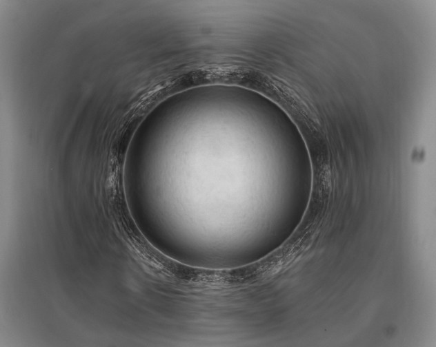 X0000095510914200712141420