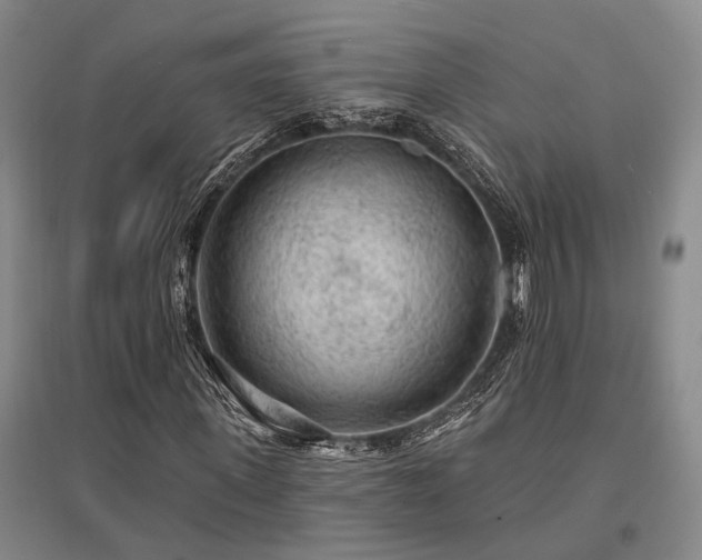 X0000095510915200712141420