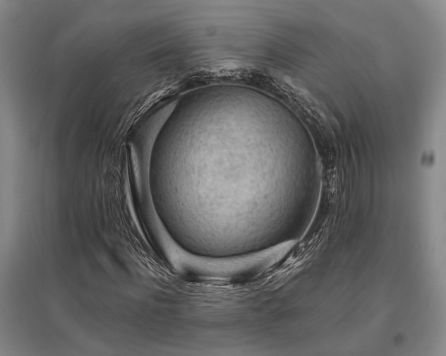 X0000095510916200712141420