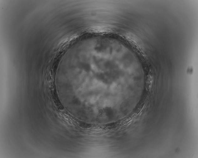 X0000095510917200712141420
