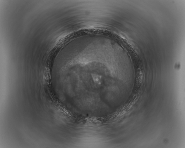 X0000095510918200712141420